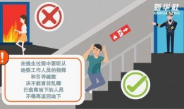 地铁逃生最新爆料怎么看,最新爆料解读逃生攻略